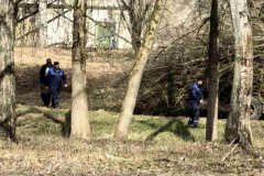 0-02-05-11672d0e632622da1c5898dc589d5531cad0b7ea3d7a0aa864edc458b15c88bf_8009e29864106be9