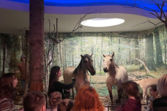 0-02-05-6628bf4bfda4f721b893ee2843a078fe0c8a73ecab7bc8a3e8675a9c38a0d97f_e5a0cf8724a84dba