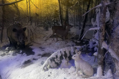 0-02-05-cdcbeed5b1a43d999732516652867fe44600daeed4ec6994cf8eefd212bf8169_6f4ed2550810f2fc