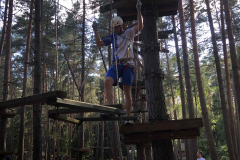 IMG-e5383c6c43593b00e72126aab3c586ba-V