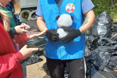 изображение_viber_2024-04-29_15-53-04-938