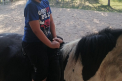 IMG-26a7a54487f0dbb63e640eb9eb734638-V