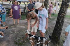 IMG-4e608c004fc3ec9716fc481c6c4a05c7-V