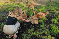 IMG-ae58f3153badbdfcbd1857639256d536-V