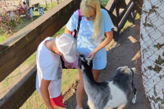 IMG-df644d5a39f0b5517df5e40e741df0e1-V